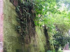 -西南政法大学(沙坪坝校区)