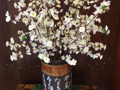 -平湖九龙山庄园圣马可酒店