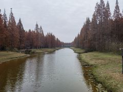 -黄海国家森林公园