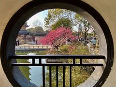 -红梅公园