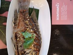 -川道拐耗儿鱼(置信路店)