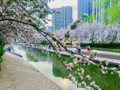 -海棠花溪(元大都城垣遗址公园)