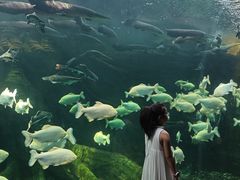 -波塞冬旅游度假区