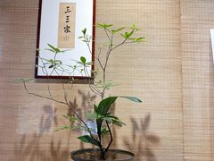 -郭庄景区