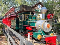 -上海共青森林公园