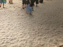 -白沙滩