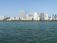 远处的金融中心-白鹭洲公园