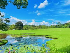 -中国科学院西双版纳热带植物园