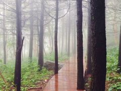 景点-白草畔自然风景区