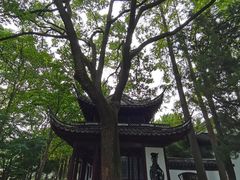 -汇龙潭