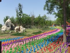 -武清南湖绿博园