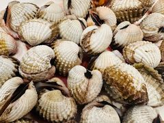 -华盛丰温州大排档(东三环南路店)