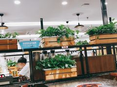 大堂-八合里牛肉火锅(新洲店)