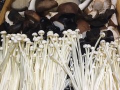 -城一锅涮烤羊蝎子·烤串