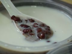 红豆加鲜奶-百花传统甜品店(原址店)