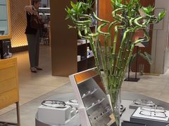 -上野眼镜(深圳湾万象城店)
