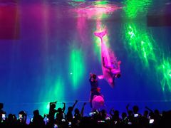 -芜湖新华联大白鲸海洋公园