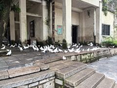 -赤坎·广东华侨国际旅游度假区