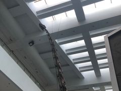 -中国地质大学逸夫博物馆