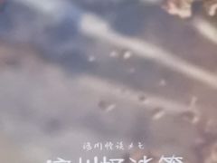 -剧狐剧本杀·月球探案馆(人民广场1号店)