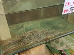 -北海银滩一号国际会议中心酒店