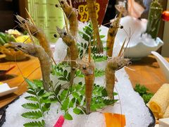 -尚海豆捞(乐虹坊店)