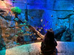 -沈阳海洋探索中心