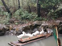 -兰亭风景区