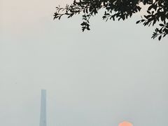 -西堤公园