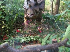 -海南热带野生动植物园