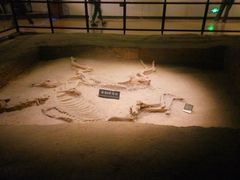 -洛阳周王城天子驾六博物馆