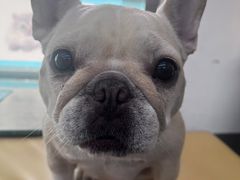 -爱侣宠医·鹦鹉专科·小型哺乳类·异宠专科(灵石路店)