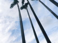 -黄金海岸水上乐园