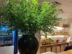 -四季民福烤鸭店(望京旺角店)
