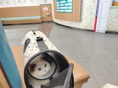 -联合动物医院(光谷诊疗中心)
