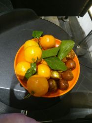 -JM STYLE造型明星.网红