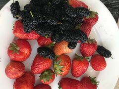 -东方红海鲜百汇(国际大厦店)