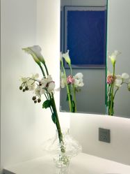 -蘭FACE·海菲秀飞顿Med SPA