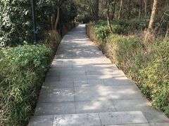 -宝界山林公园