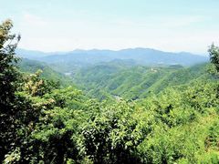 -鹿亭中村