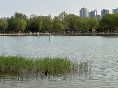 -太阳宫公园