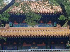 -北京国子监胡同