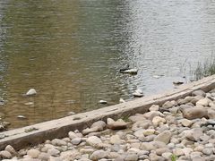 -大望京公园