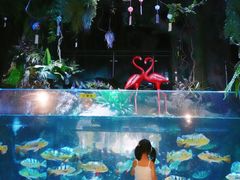 -合肥海洋世界