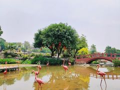 -广州莲花山旅游区