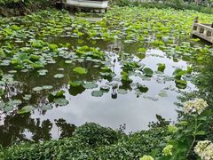 -上海醉白池公园