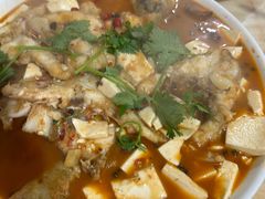 -煲来饱去冷水鱼