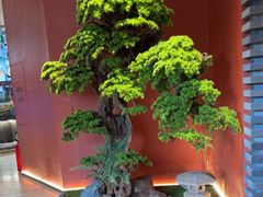-阿伟海鲜楼·福建菜(延寿店)