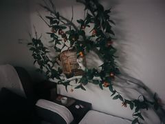 -麦子MaiMassage(打浦桥店)