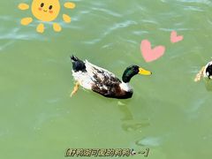 -野鸭湖国家湿地公园